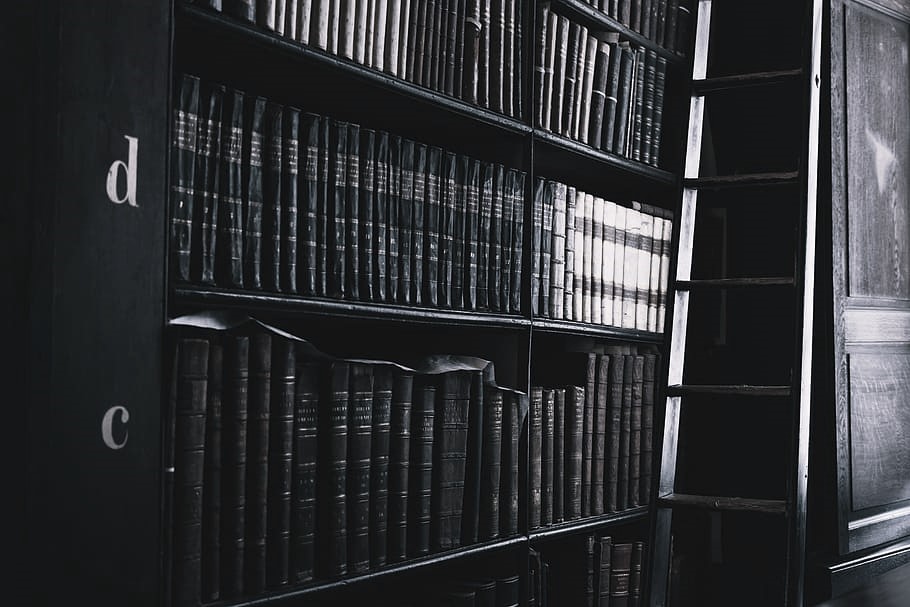 books-library-shelves-ladder - BLACK & WHITE